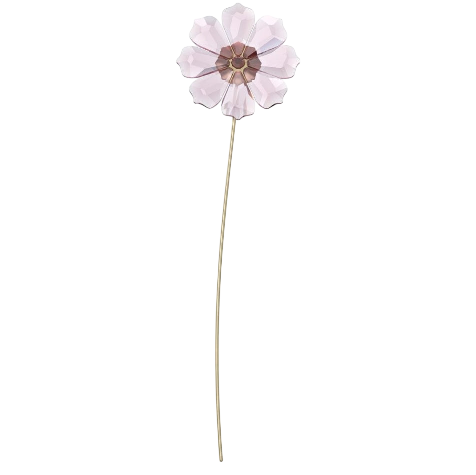 Swarovski Garden Tales Cosmos (SKU: 5557801) – M.S.C. Sales