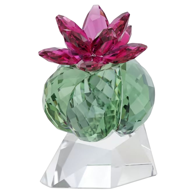 Swarovski Crystal Flowers Bordeaux Cactus (SKU: 5426978)