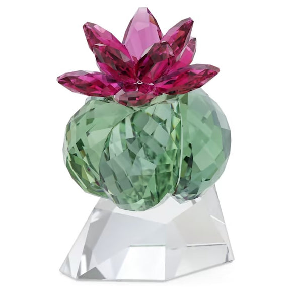 Swarovski Crystal Flowers Bordeaux Cactus (SKU: 5426978)