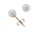 5.0-5.5mm Akoya Pearl Stud Earrings (SKU: 60504)