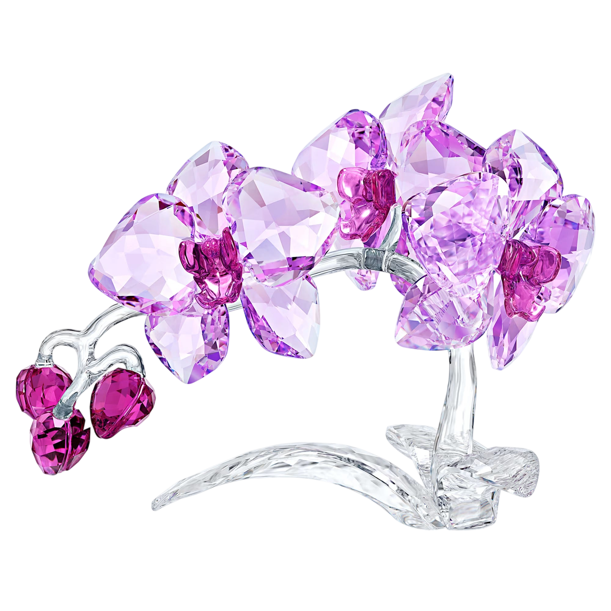 Swarovski Crystal Flowers Orchid (SKU: 5520373)