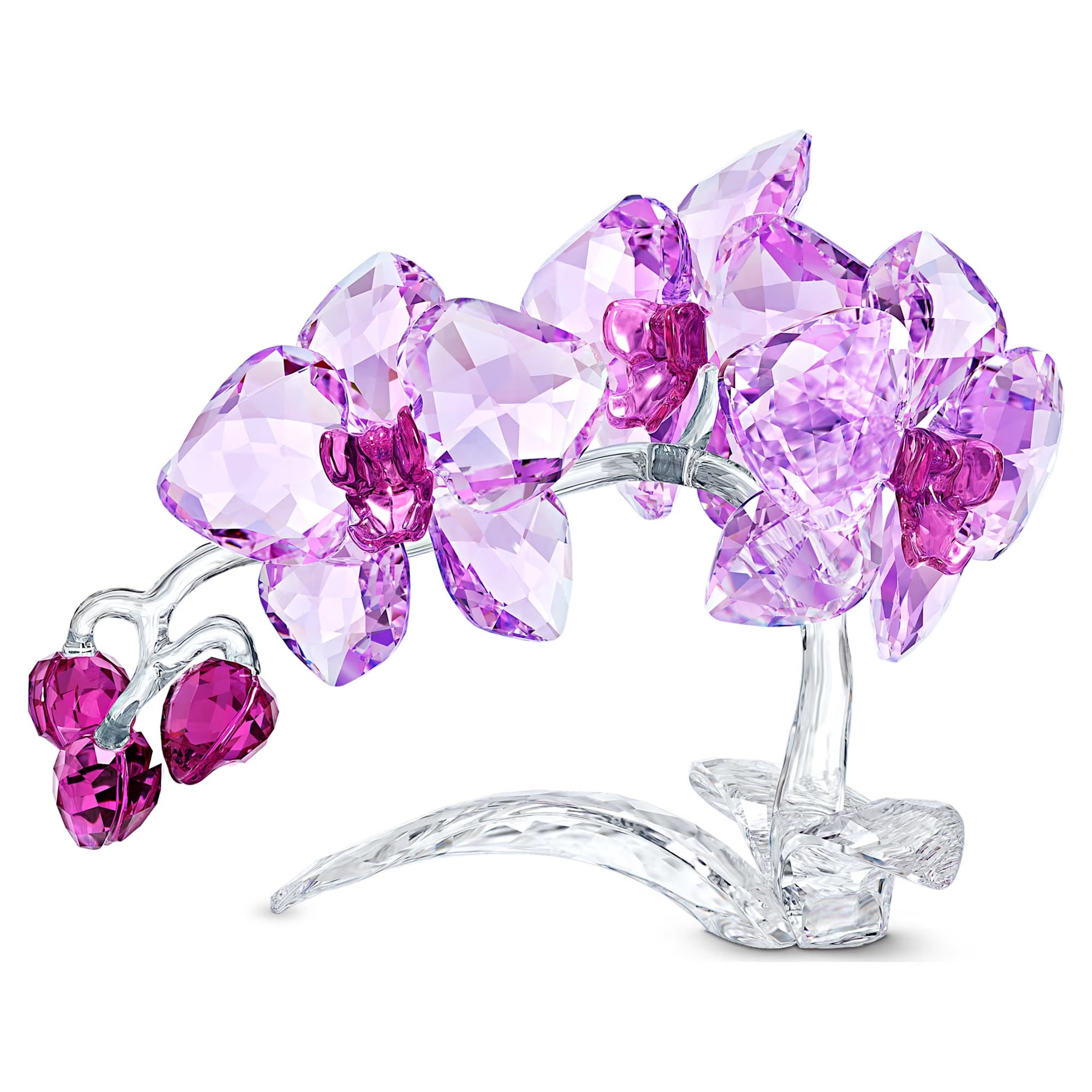 Swarovski Crystal Flowers Orchid