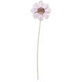 Swarovski Garden Tales Cosmos (SKU: 5557801)