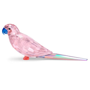 Swarovski Jungle Beats Pink Parakeet Cha Cha (SKU: 5557848)