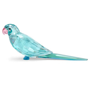 Swarovski Jungle Beats Blue Parakeet Paco (SKU: 5574519)