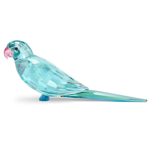 Swarovski Jungle Beats Blue Parakeet Paco (SKU: 5574519)