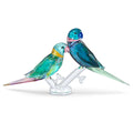 Swarovski Jungle Beats Parakeet Couple Fife & Fifer (SKU: 5577124)