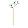 Swarovski Garden Tales Mistletoe (SKU: 5594491)