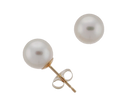7.0-7.5mm Akoya Pearl Stud Earrings (SKU: 60512)