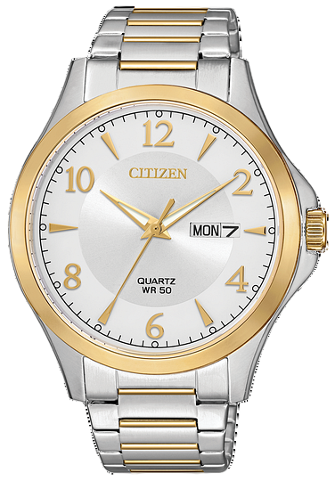 Citizen BF2005-54A